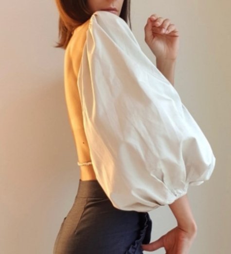 Backless Long Sleeve Puffed Crop Top - Pinkfig Boutique