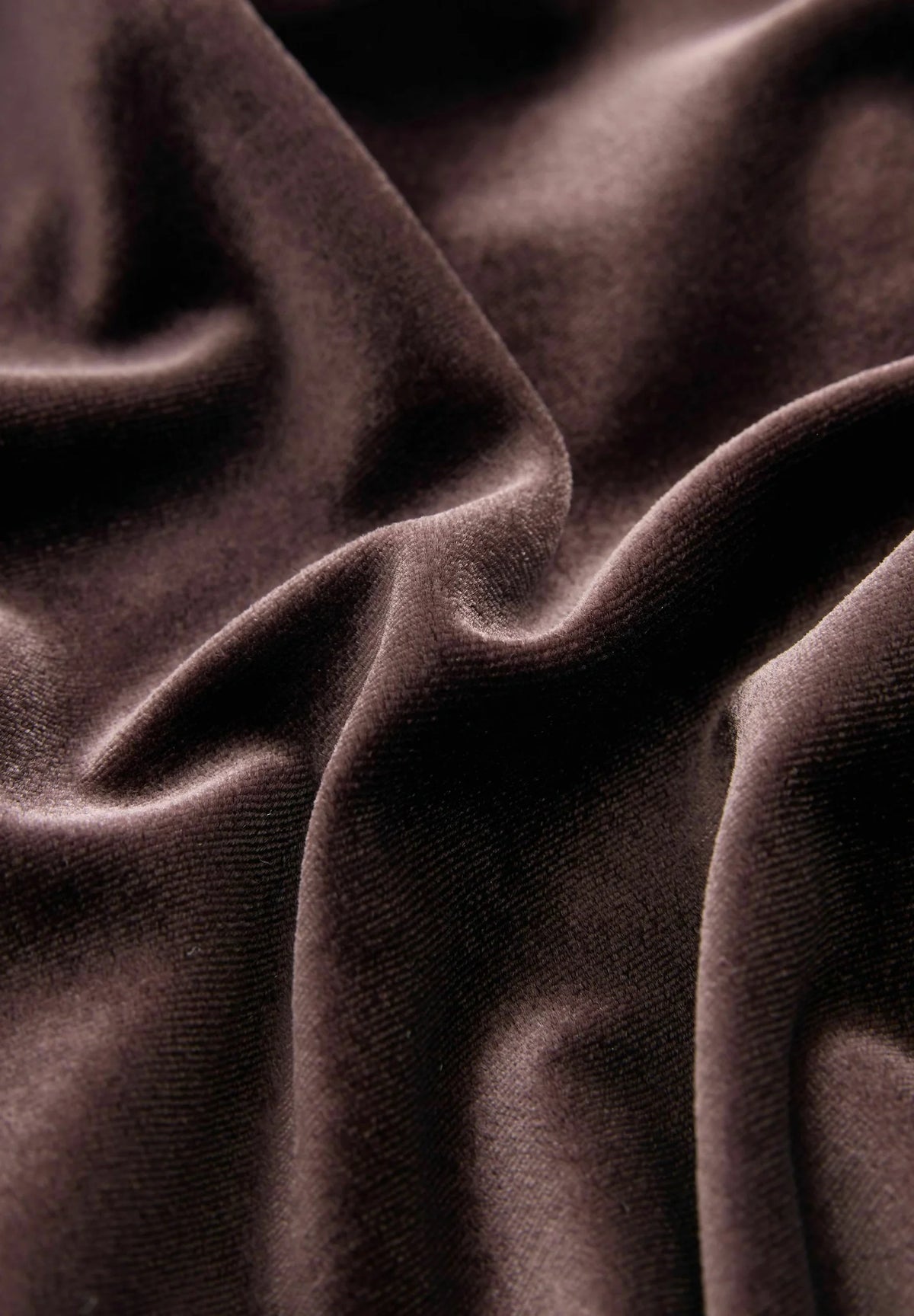 Amber Velvet Trouser